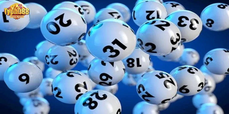 Việc phán đoán số loto cần phải dựa trên cơ sở