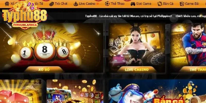 Những nội dung tổng quan về Typhu88 dành cho bạn