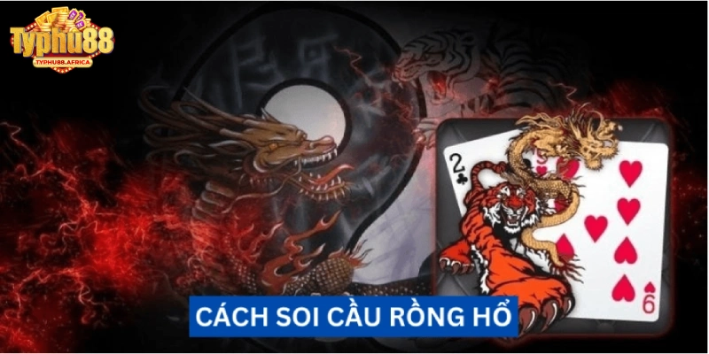 Những cách soi cầu Rồng Hổ được ưa chuộng nhất 2025