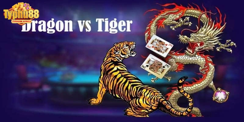 Mẹo chơi rồng hổ là gì từ chuyên gia