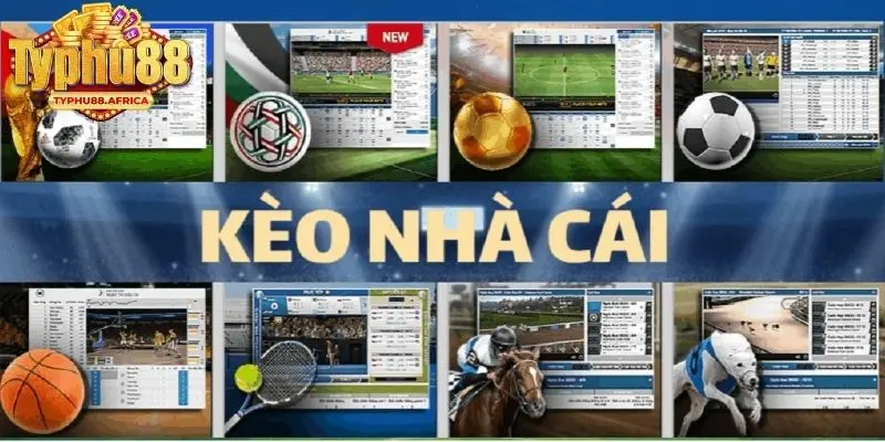TÌm hiểu sơ lược về thể loại kèo nhà cái